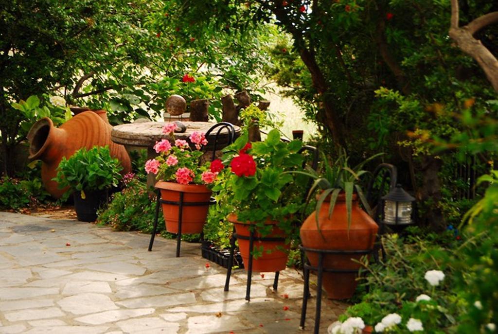 Atzanou Rooms Kamariotissa Экстерьер фото